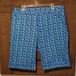 Soft Surroundings Super Stretch Blue Shorts